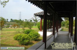 精品園林獎金獎 太湖新城蘇州灣大堤綠化景觀工程的舞臺設計探析